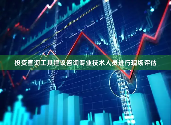 投资查询工具建议咨询专业技术人员进行现场评估