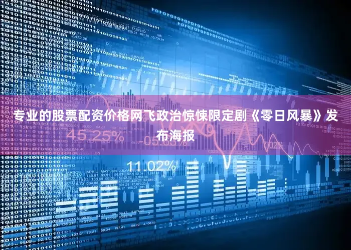 专业的股票配资价格网飞政治惊悚限定剧《零日风暴》发布海报