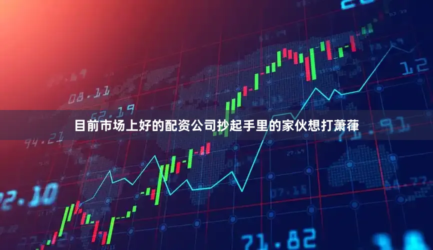 目前市场上好的配资公司抄起手里的家伙想打萧葎